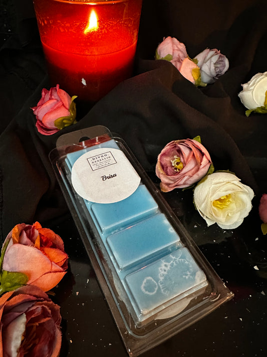 Brisa wax melt
